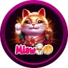 MIAW4D